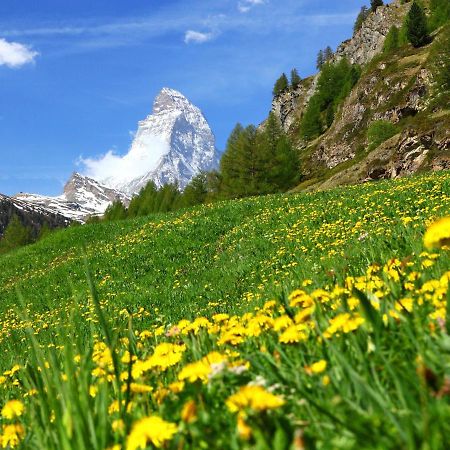 Apartment Kondor By Interhome Zermatt Dış mekan fotoğraf