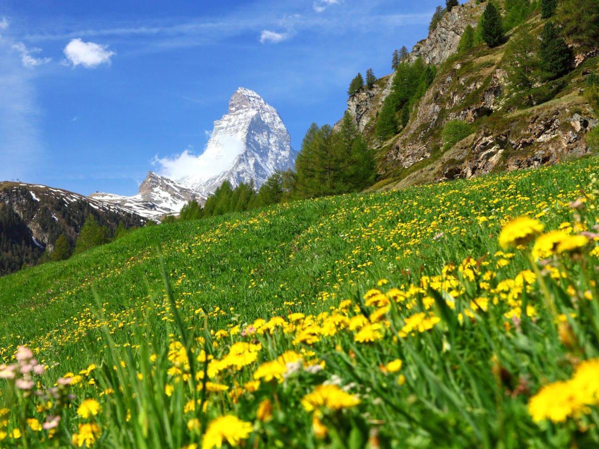 Apartment Kondor By Interhome Zermatt Dış mekan fotoğraf