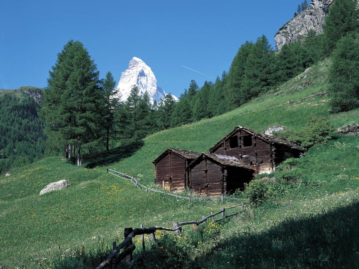 Apartment Kondor By Interhome Zermatt Dış mekan fotoğraf